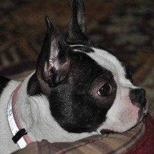 Meet your Posher, Jeffrey